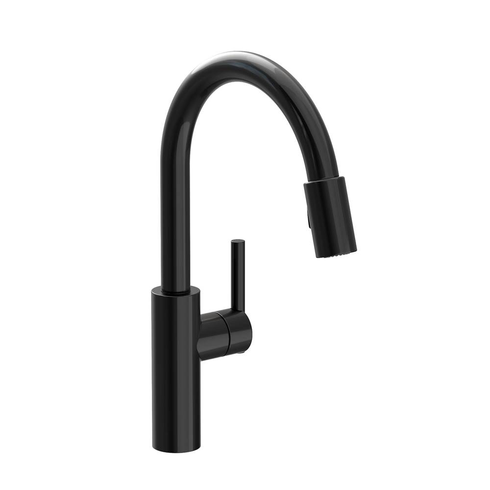 Newport Brass Single Hole Kitchen Faucets item 1500-5103/54