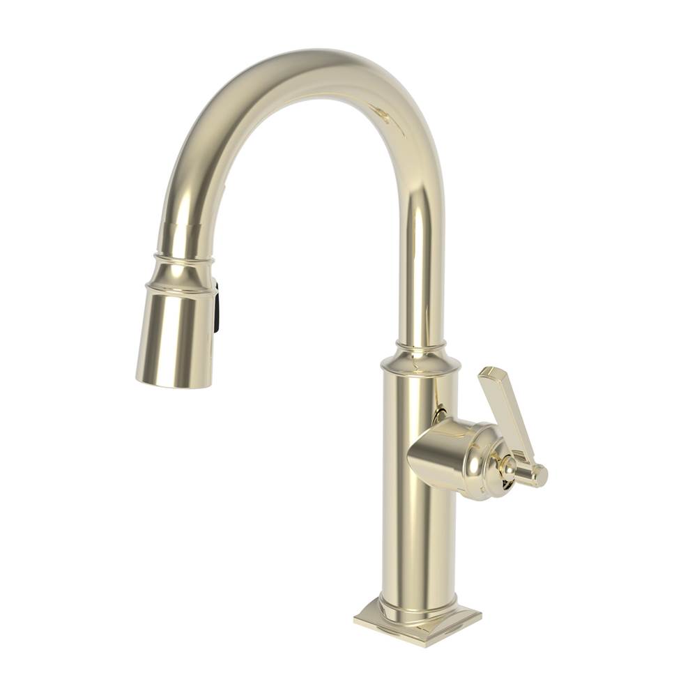 Newport Brass Pull Down Bar Faucets Bar Sink Faucets item 3170-5203/24A